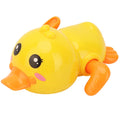 Quacky Racer Bath Toy